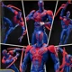 thumbnail image 5 of Figuras de acción de Spider-man 2099 Shf Shfiguarts Spider-man Across The Spider-verse Part One de 17 cm, estatuas, figuritas, regalos, juguetes, 5 of 5