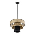 thumbnail image 4 of TOV Furniture Rylie 12.6"H Iron Metal & Raffia Pendant in Natural/Black, 4 of 7