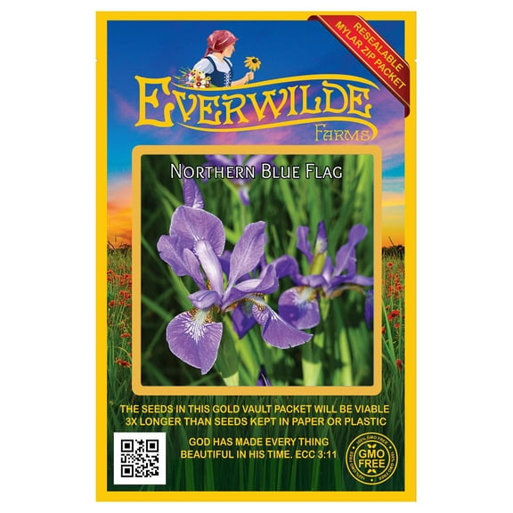 Everwilde Farms - 15 Northern Blue Flag Native Wildflower Seeds - Gold Vault Seed Packet