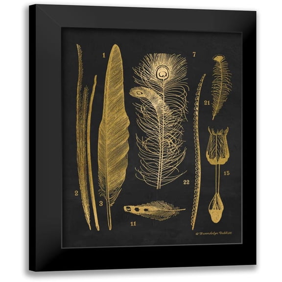 Babbitt, Gwendolyn 12x14 Black Modern Framed Museum Art Print Titled - Gold Feathers I