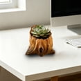 thumbnail image 3 of Outdor For Indoor Outdoor Decorative With Holes Garden Container, 3 of 3