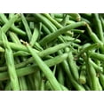 thumbnail image 5 of Small Fava Bean Sprouting Microgreen/Annual/Full Sun/5 Seeds 1/8 oz /Zellajake Farm and Garden - B283, 5 of 5