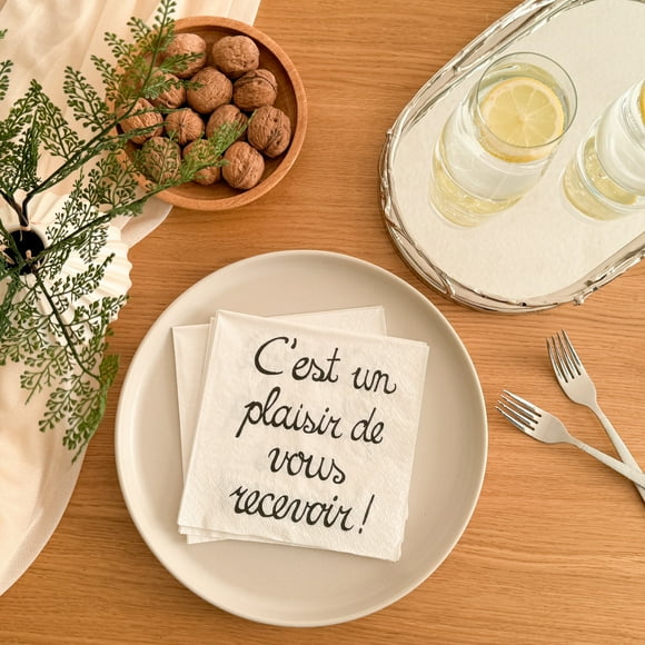 Linen Chest Lunch Napkins « Un Plaisir » - Pack of 20