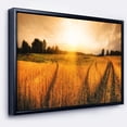thumbnail image 1 of Designart - Wheat Field at Sunset Panorama - Photography Framed Canvas Art Print, 1 of 4