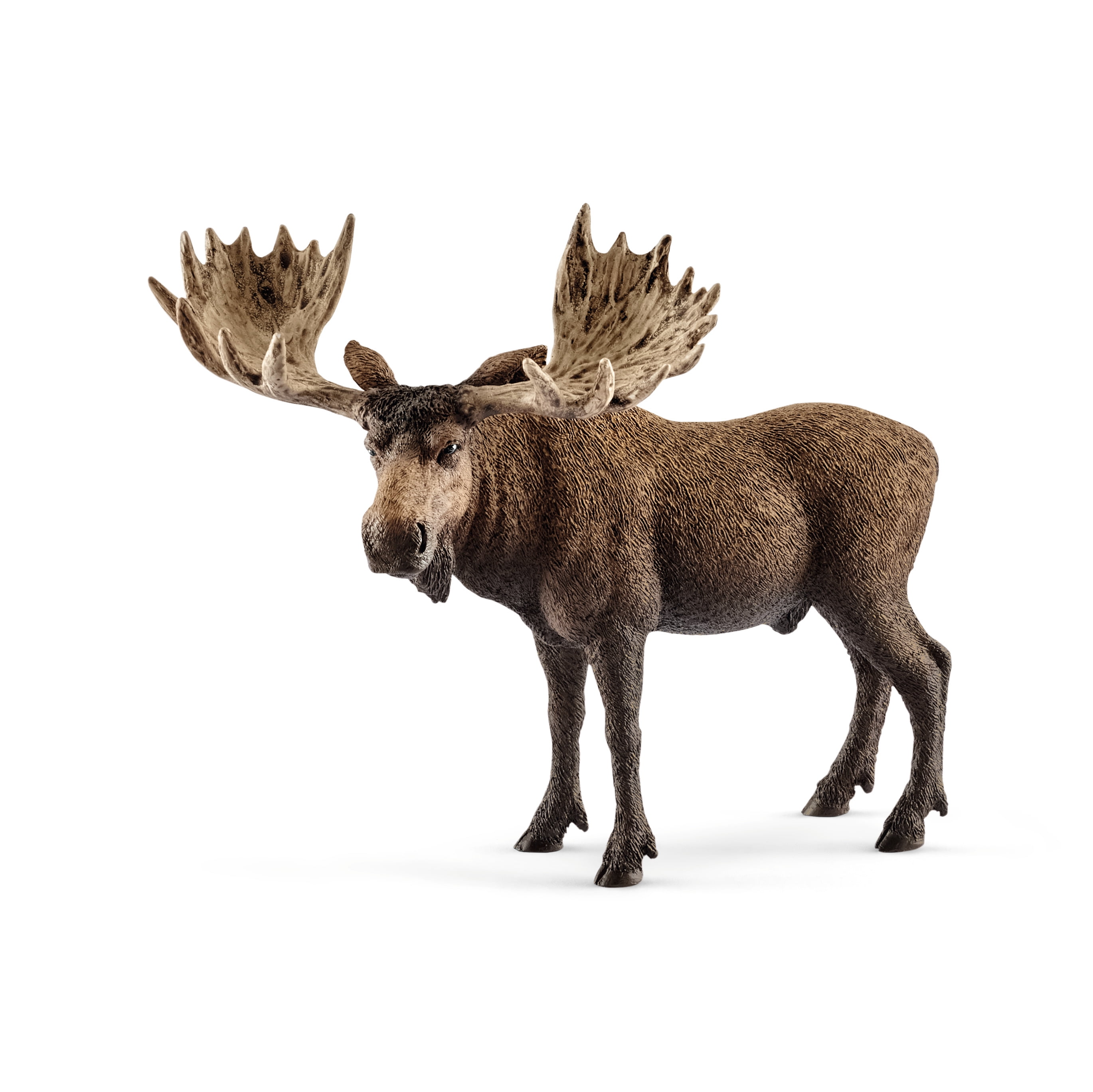 Schleich Wild Life 5 PC North American Animal Toy Bundle with Moose, Grizzly Bear, Alligator, Fox, and Wolf