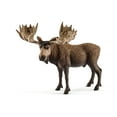 thumbnail image 5 of Schleich Wild Life 5 PC North American Animal Toy Bundle with Moose, Grizzly Bear, Alligator, Fox, and Wolf, 5 of 7