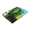 thumbnail image 3 of Masiiu Bluey Print Silver Fox Velvet Beach Towel, Soft Towel for Beach, Swimming, and Travel, 27.5x55in, 3 of 6