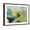Brown Frame, variant on Art.com Headlands Art Print by Jan Weiss, 24" x 18"