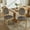 Gray2, variant on French Style Solid Wood Frame Antique Painting Linen Fabric Back Dining Chair,Set of 2,Beige