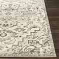 thumbnail image 3 of Surya Mesopotamia 2'7" X 4'11" Rectangle Area Rugs MEP2314-35, 3 of 7