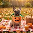 thumbnail image 5 of Roiihwy Halloween Dog Bandanas Costumes, Halloween Dog Bandanas for Fall Thanksgiving Decor, Orange Pumpkin, Ghost Design for Dog and Cat, 5 of 8