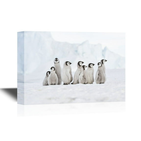 wall26 - Canvas Wall Art - A Group of Penguins - Gallery Wrap Modern Home Art | Ready to Hang - 32x48 inches