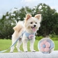 thumbnail image 6 of FeiFu Floral Pet Harness with Leash Escape Proof Adjustable Walking Leash Set for Small Medium Cats Dogs Outdoor Walking Supplies, 6 of 6