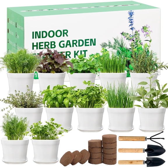 12 Herb Garden Kit Indoor - 42 Pcs Complete Kitchen Window Herbs Seeds Growing Starter Set Kit Gardening Gift Birthday Housewarming Christmas Gift for Women Her Mom Men Home Chefs Gardener Beginner