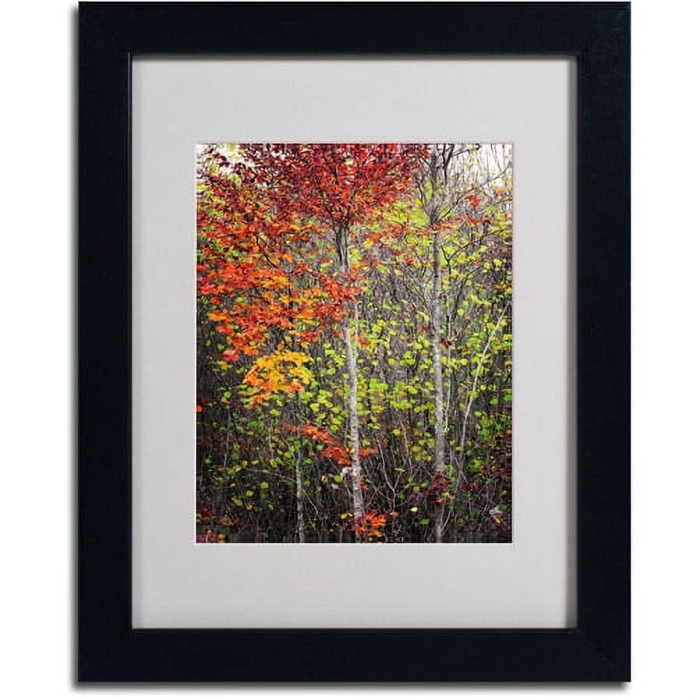 Trademark Fine Art "Color Touch" Canvas Art by Philippe Sainte-Laudy, Black Frame