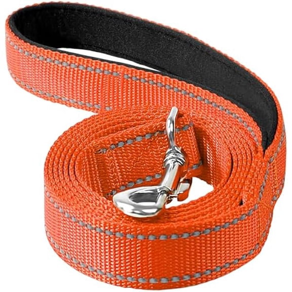 Eryueer Reflective Dog Leash 4ft Soft Padded Handle Nylon Lead for Small & Medium Dogs, Durable Walking Training Leash for Night Safety (Orange,1Inch Wide)