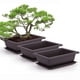 thumbnail image 4 of Maceta Rectangular Imitación Arena Morada Para Jardín Doméstico Macetas Pequeñas De Plástico Para Flores, 4 of 4