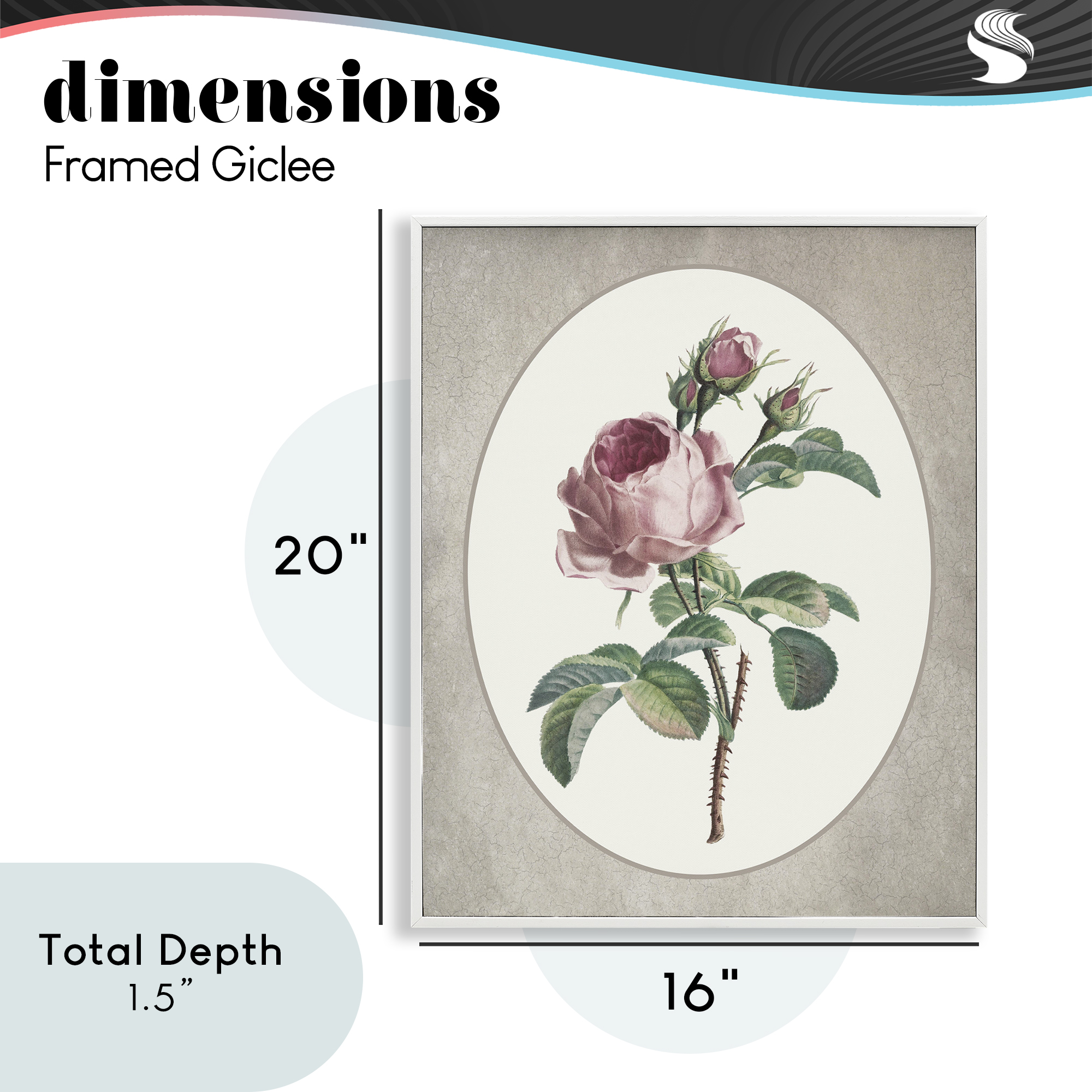 Vintage Rose within Oval White Framed Giclee Art, design by Lettered and Lined
