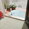 thumbnail image 6 of Kezqiaxn Doormat Outdoor Mat Cute Pet Dog Themed Carpet, Welcome Doormat Non Slip Floor Mat Summer Holiday Funny Novelty Door Mats Indoor Outdoor Decor Multicolor, 6 of 7