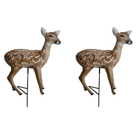 Primos Hunting Fawn Standing Motion Whitetail Deer Decoy for Predators (2