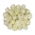 thumbnail image 2 of White Roses - Farm Direct Fresh Cut Flowers - 100 Stems - by Bloomingmore, 2 of 6