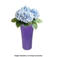 thumbnail image 3 of Florero Prichos Jemaflex Octagonal de Plástico 25.5 cm, 1 pieza, 3 of 5