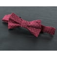 thumbnail image 2 of Spring Notion Boy's Dotted Woven Bow Tie, 2 of 5