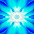 thumbnail image 2 of Grayscale 26x26 White Modern Wood Framed Museum Art Print Titled - Flower Medallion IV, 2 of 4