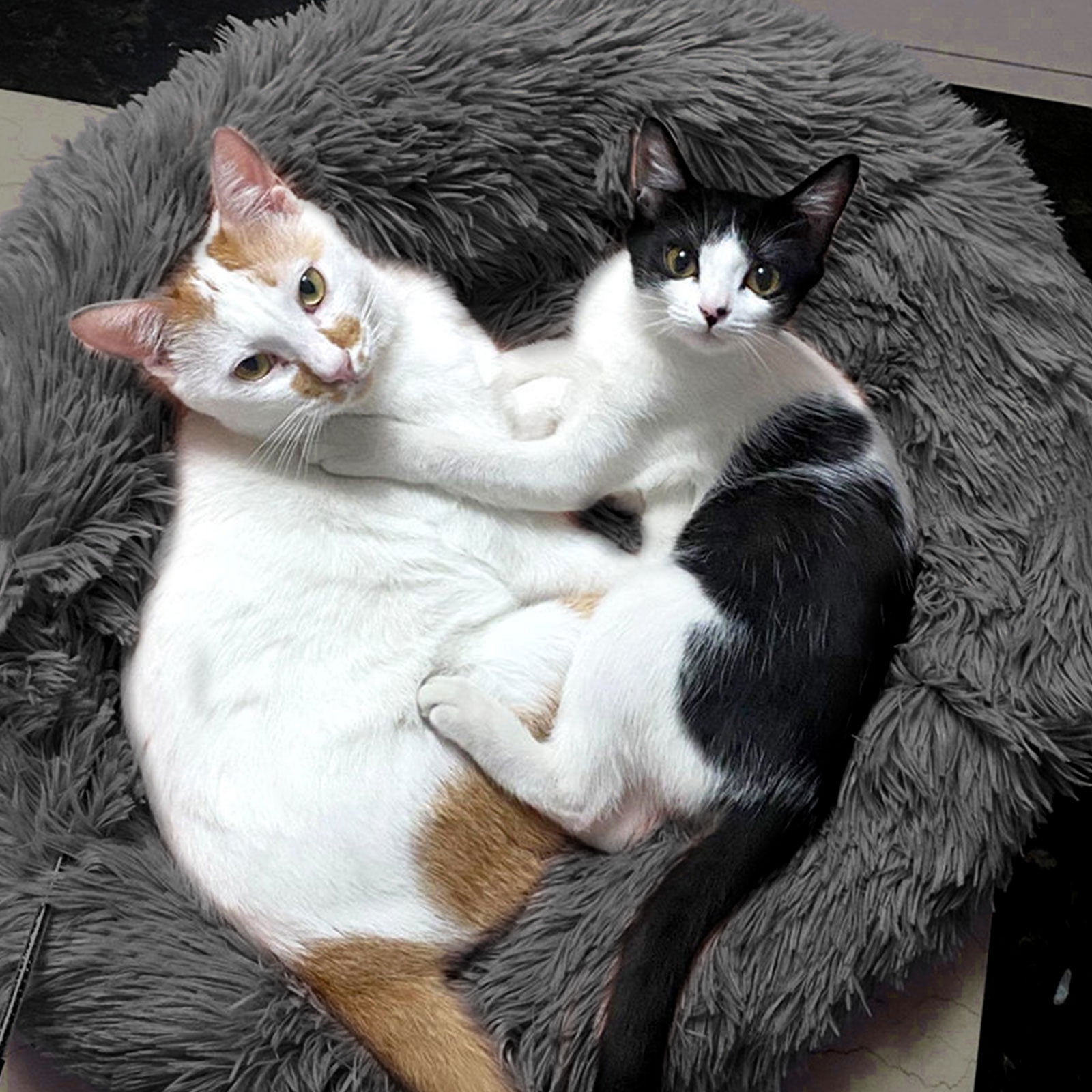 Xinlie Round Plush Pet Bed for Cats Small Dogs ,Fluffy Soft Pet Calming Bed Sleeping Kennel Nest 19.68in