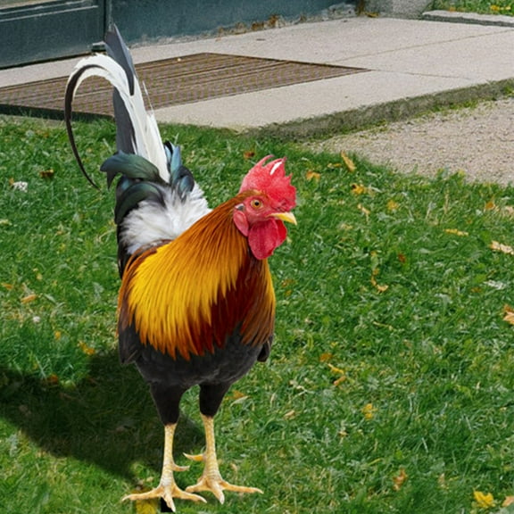 GOOHOCHY 2Pcs Lawn Chicken Stake Garden Chicken Sign Simulation Chicken Yards Art Small Chick Stake