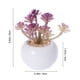 thumbnail image 4 of 4 mini suculentas artificiales decorativas con macetas blancas (multicolor), 4 of 5