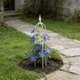 thumbnail image 5 of Soplador, Aspiradora y Triturador de Hojas Eléctrico Inalámbrico | Herramienta de Jardín para Eliminar y Recoger Hojas | Limpieza de Exteriores | Ideal para Césped, Plantas y Residuos de Entradas de, 5 of 6