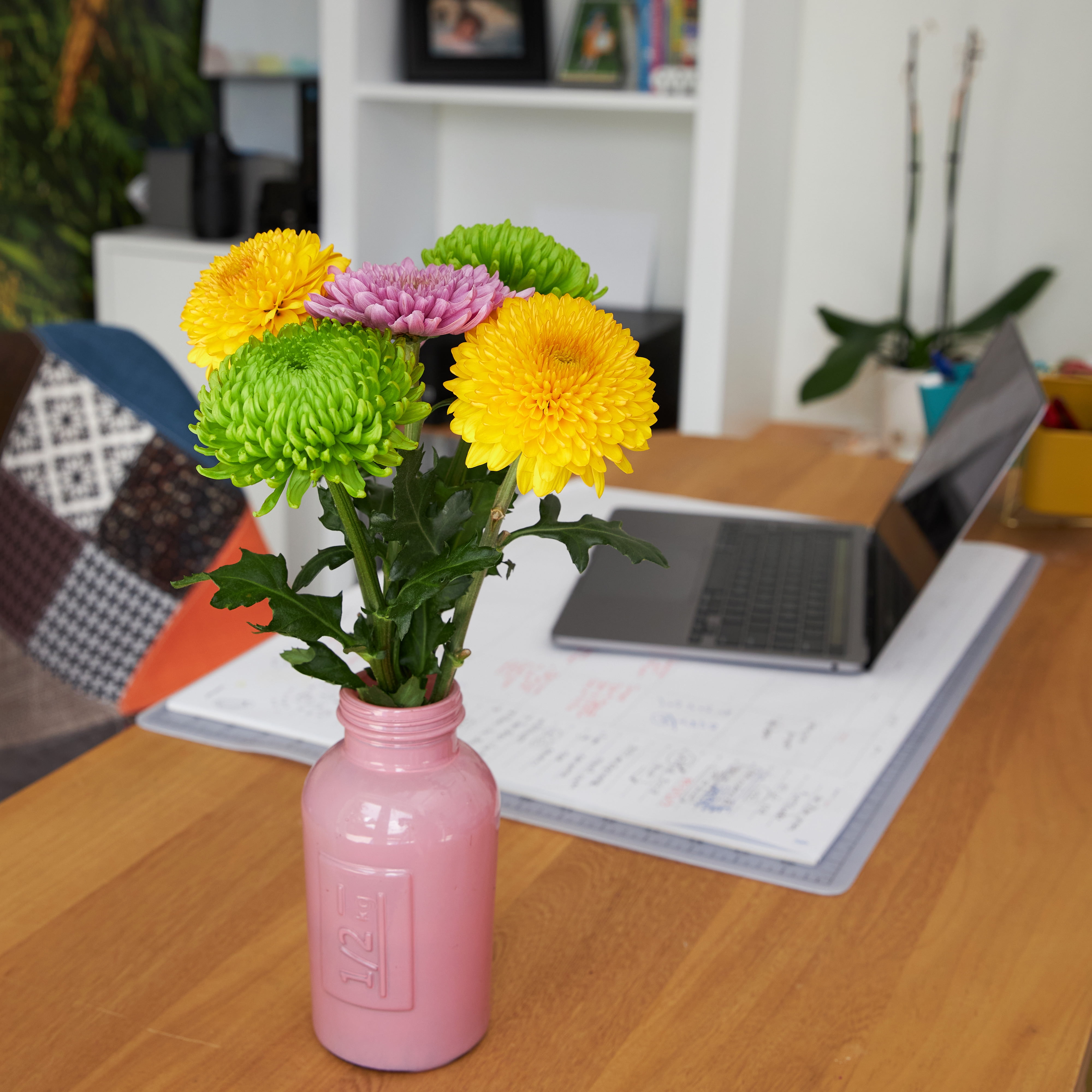 Fresh-Cut Snowball Mums Flower Bunch, 5 Stems, Colors Vary