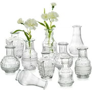 Sziqiqi Bud Vase in Bulk Glass Vases for Centerpiece Small Vases for Flowers Living Room Home Decor Set of 10