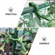thumbnail image 3 of UPGRATOR 10Ud Sujetadores Para Plantas En Jardín Clips Para Fijar Ramas De Plantas En Macetas, 3 of 8