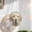 F, variant on Yardvibe Acrylic Puzzle Suncatcher, 7.3" Dog Stained Glass Window Hanging for Doors Home, Sun Catchers Gifts Decor for Women Mom Grandma Nana Wife Couple （F）