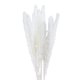 thumbnail image 1 of Phagmites De Hierba De Pampas Secas Pequeñas Decoración De Fragmitas Pequeños De Pampas Pequeños De Hierba De Decoración De Flores Secas Para Bodas En El Hotel seitruly HA044444-07, 1 of 6