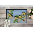 thumbnail image 2 of Carolines Treasures ASA2203MAT Great Tit Family of Birds Door Mat Indoor Rug or Outdoor Welcome Mat 18x27 Doormat  27"L, 2 of 4