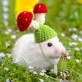 thumbnail image 4 of 10PCS Mini Hamster Hat Hand Knitted Small Animals Hat with Adjustable Strap Frog Bunny Rainbow Carrot Mini Hat Tiny Cute Pet Hat for Small Animals Holiday Party Clothes Costume Accessories Photo Props, 4 of 5
