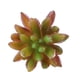 thumbnail image 4 of Flor Artificial Planta De Plástico Follaje Decoración De en hogar Artesanía Favor, 4 of 7