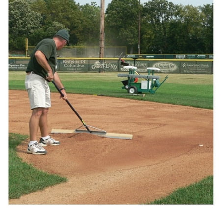 level 1 baseball