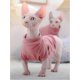 thumbnail image 3 of Sphynx Hairless Cats Shirt, Kitten Sweater T-Shirts with Sleeves, Turtleneck Breathable Cat Clothes, Cute Hairless Cat Clothes Vest Pajamas Jumpsuit f, 3 of 5