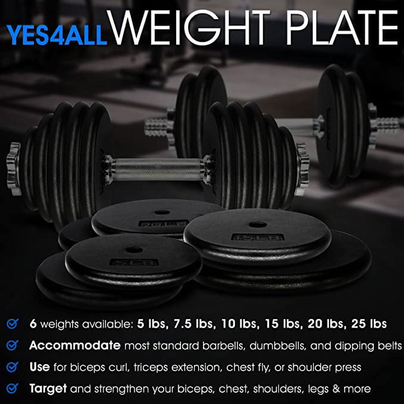 1â€³ Standard Flat Cast Iron Weight Plate