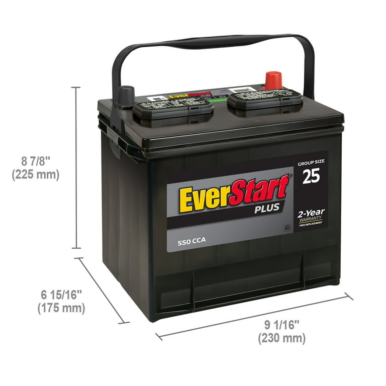 Free Shipping! EverStart Lead Acid Automotive Battery, Group Size