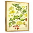 thumbnail image 3 of Designart 'Ancient Plant Life II' Traditional Framed Canvas Wall Art Print, 3 of 5