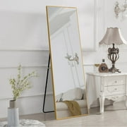 NeuType 65"x22" Gold Full Length Mirror Floor Mirror