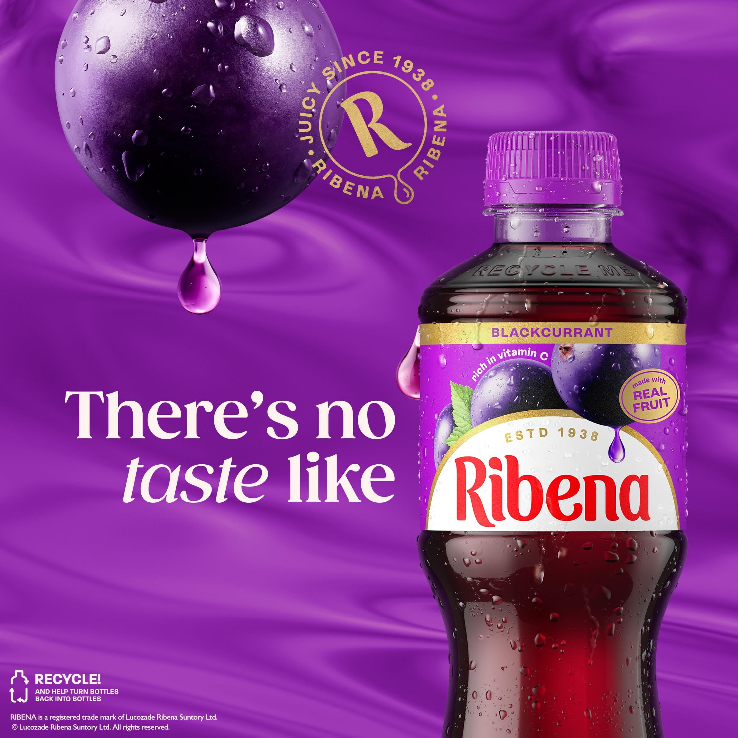 Ribena Blackcurrant Juice Bottle 500ml (Pack of 12)