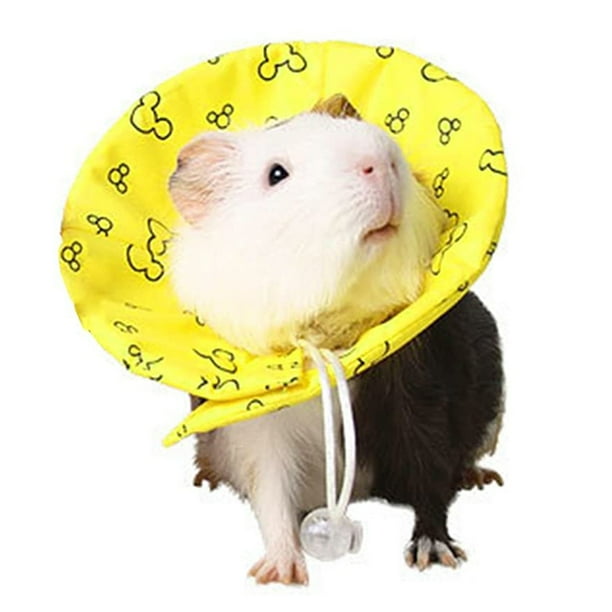 Ruff Neck Collar Protective Collar Wound Healing Dog Collar Cone Protection Smart Collar Safety For Small Animals Squirrel Guinea Pig Rat Walmart