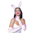thumbnail image 1 of Bunny Kit Pk Gloves Ears Tail, 1 of 1