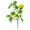 Style #B, variant on Lemon Decor Fake Lemons Branch Yellow Artificial Lemon Stem Small Single Branch for Kitchen Party Farmhouse Table Centerpiece